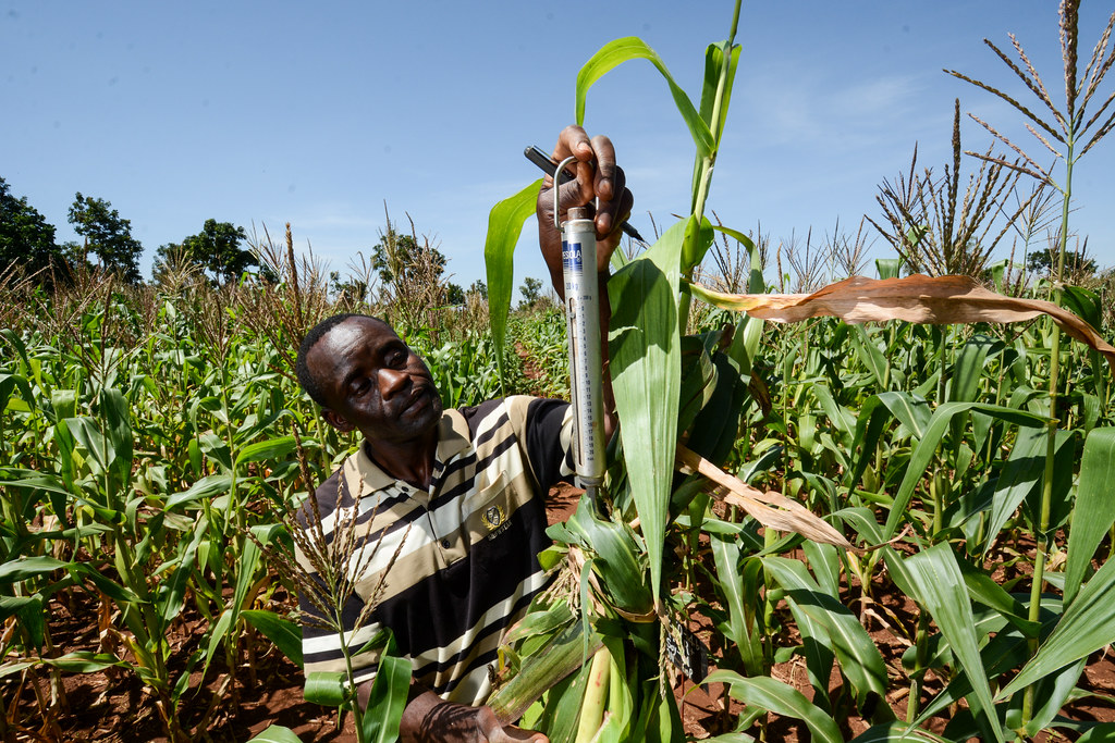 Climate smart agriculture and soil health